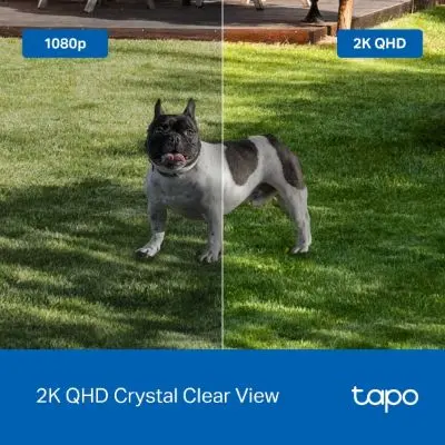 Tapo C425p8.webp