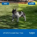 Tapo C425p8.webp