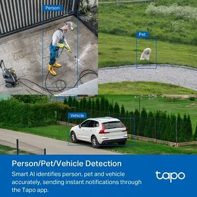 Tapo C530WSp8.webp