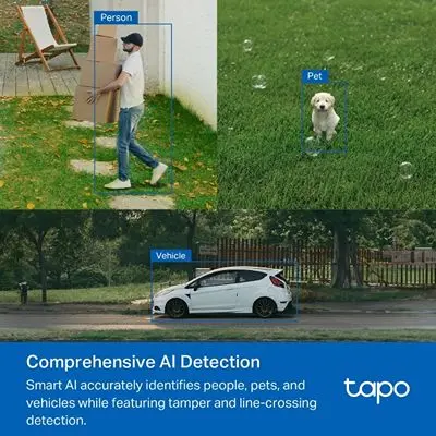 Tapo C520WSP6.webp