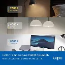 Tapo L430CP3.webp