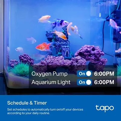 Tapo P210Mp6.webp