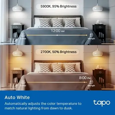 Tapo L535EP6.webp