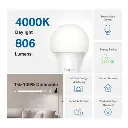 Tapo L520E.webp