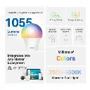 Tapo L535E.webp