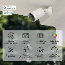 TCB82.webp