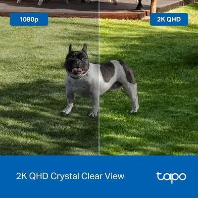 TC85p4.webp