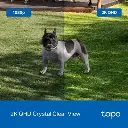 TC85p4.webp