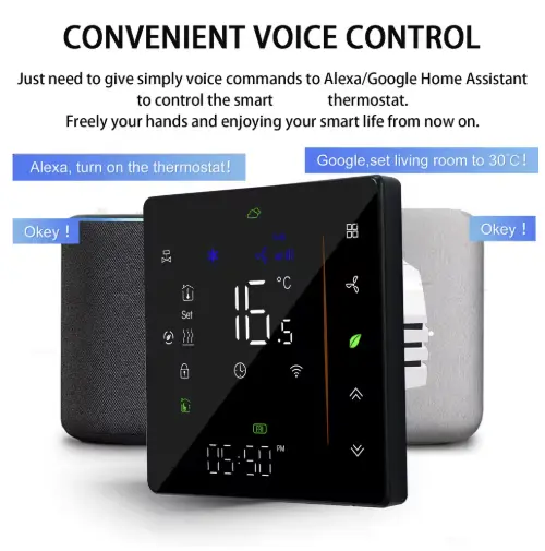 ac24v 4.webp