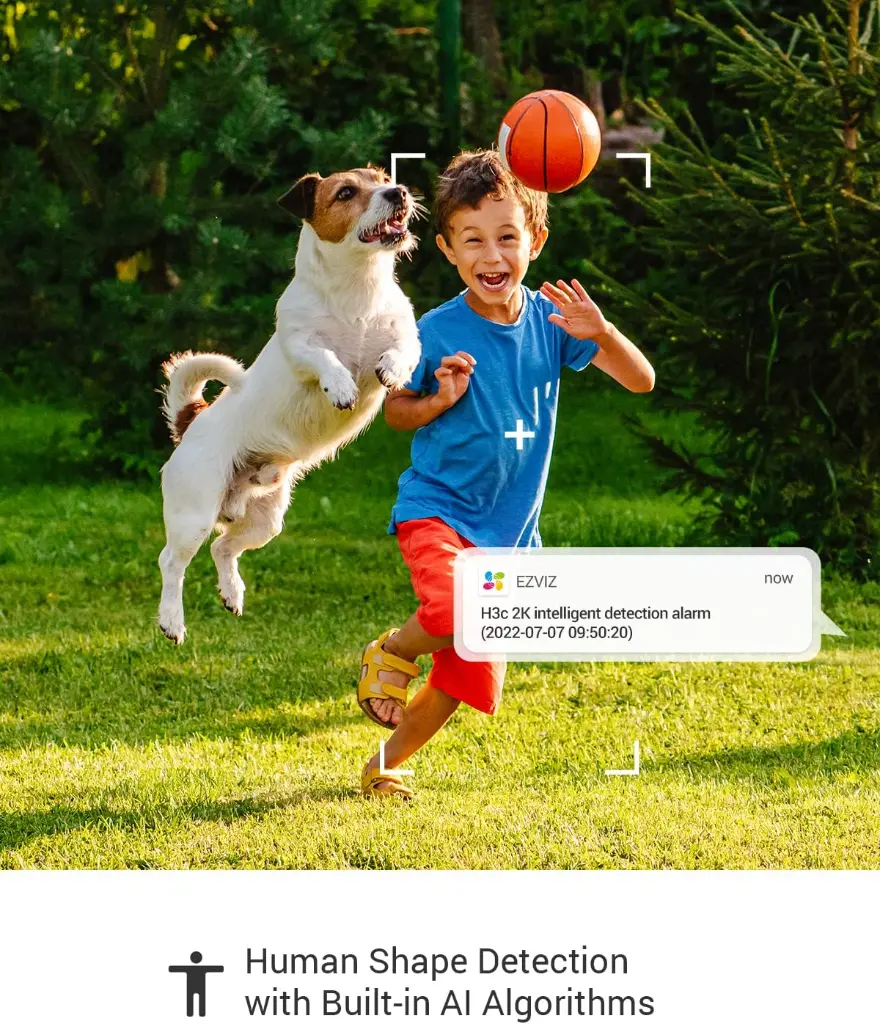 H3C P1.webp