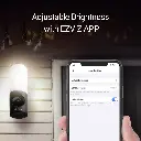 LC3P5.webp