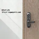L2SP1.webp