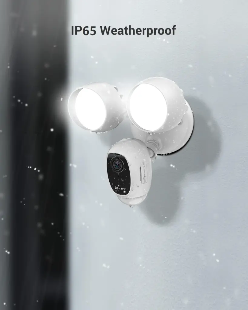 lc1cp6.webp