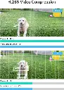 lc1cp8.webp