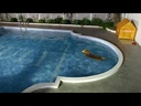 youtube - [Video]