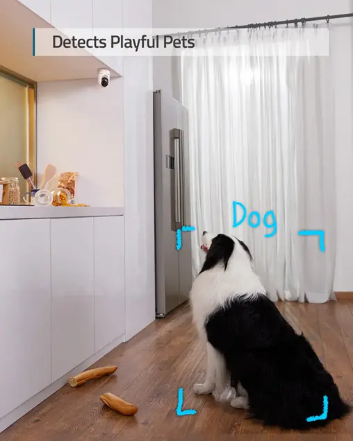 Indoor Cam E220 p2.webp