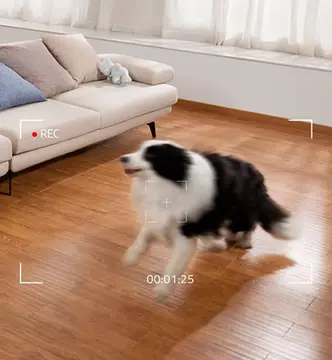 Eufy Indoor Cam Mini 24.webp