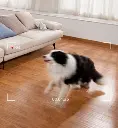 Eufy Indoor Cam Mini 24.webp