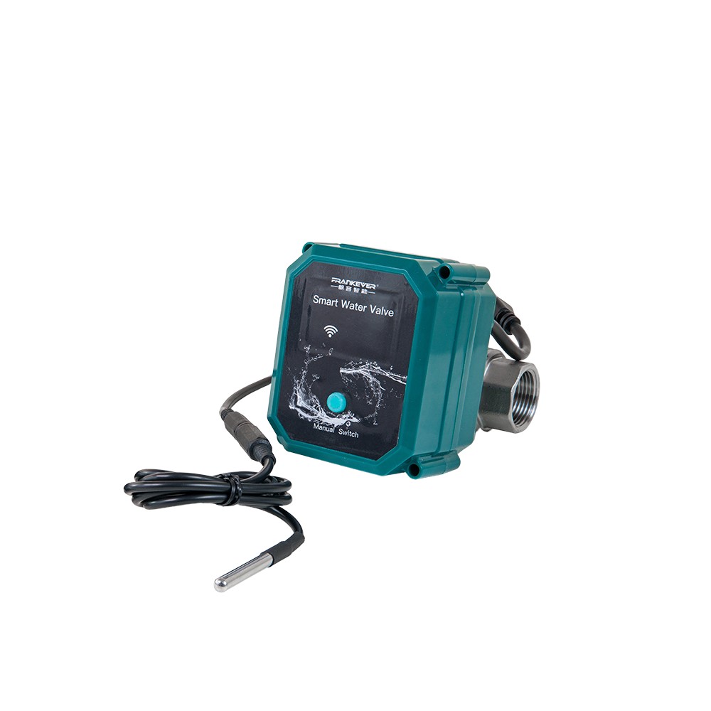 Shelly FrankEver Smart water valve